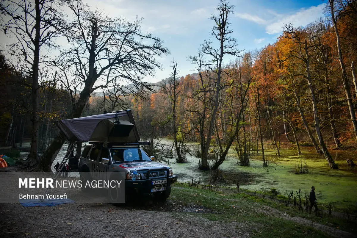 افسون برگ‌ها در پاییز هزار رنگ مازندران