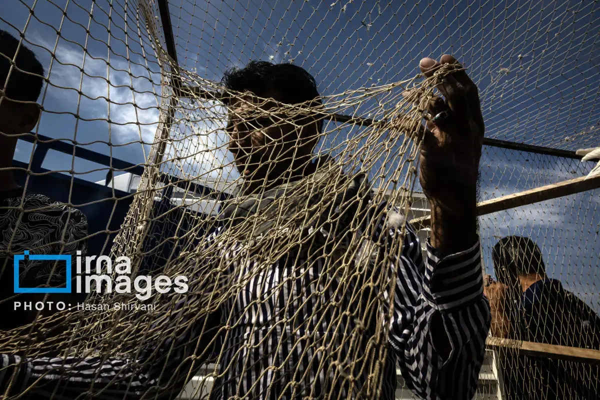 روایت کبوترفروشان آزادگان