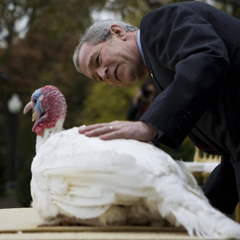 جشن‌های روز شکرگزاری و مراسم عفو بوقلمون توسط رؤسای جمهور سابق آمریکا