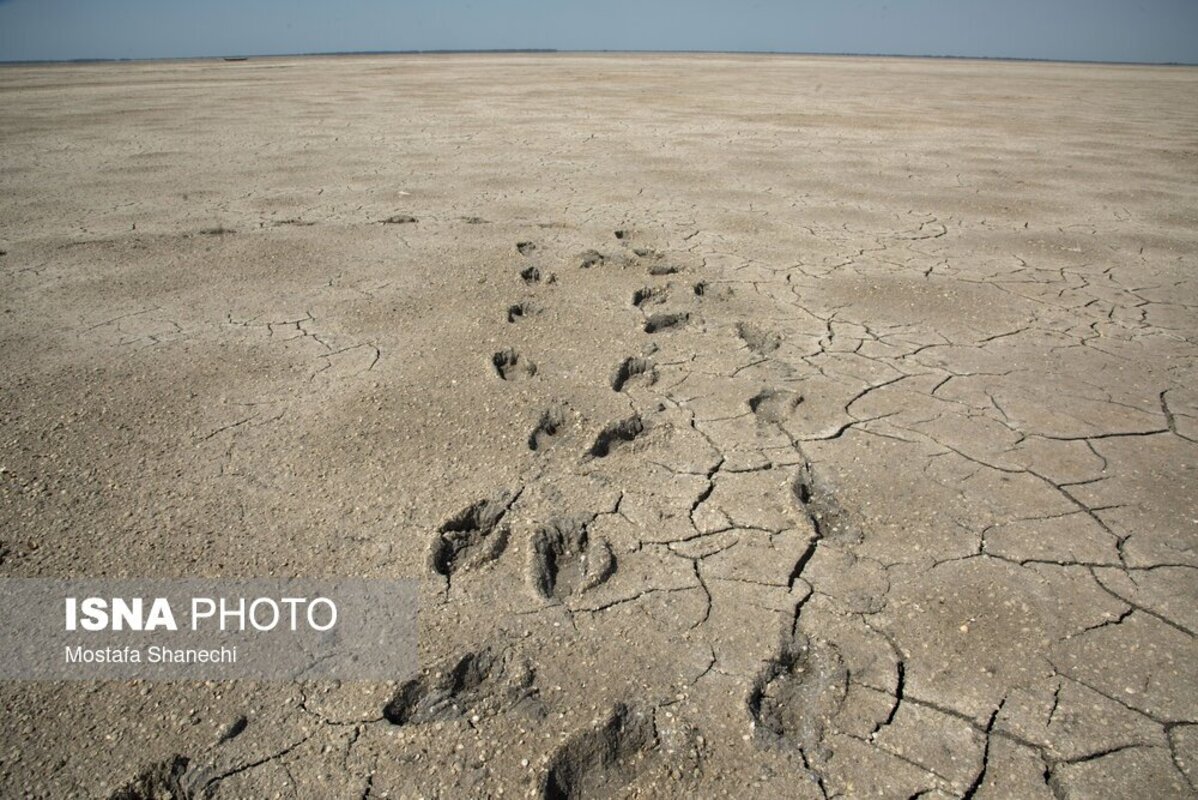 دریای خزر آخرین نفس‌هایش را می‌کشد