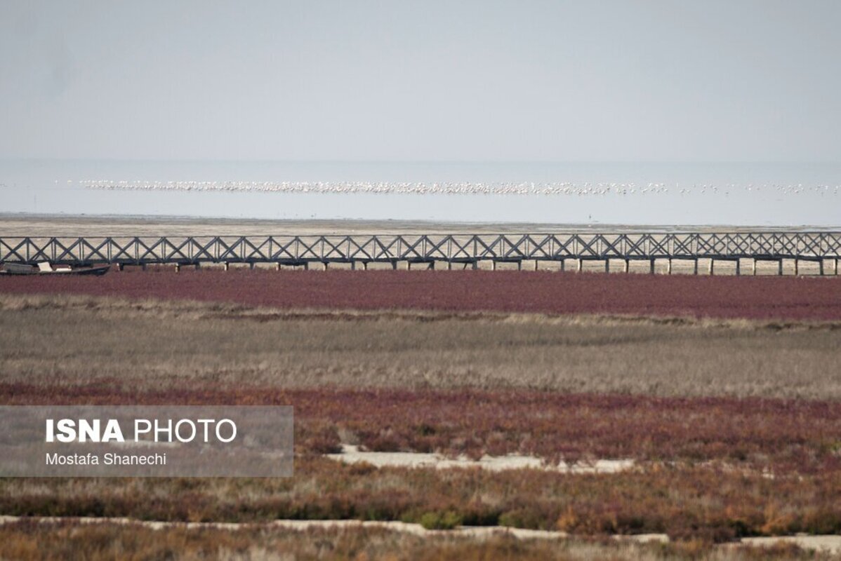 دریای خزر آخرین نفس‌هایش را می‌کشد