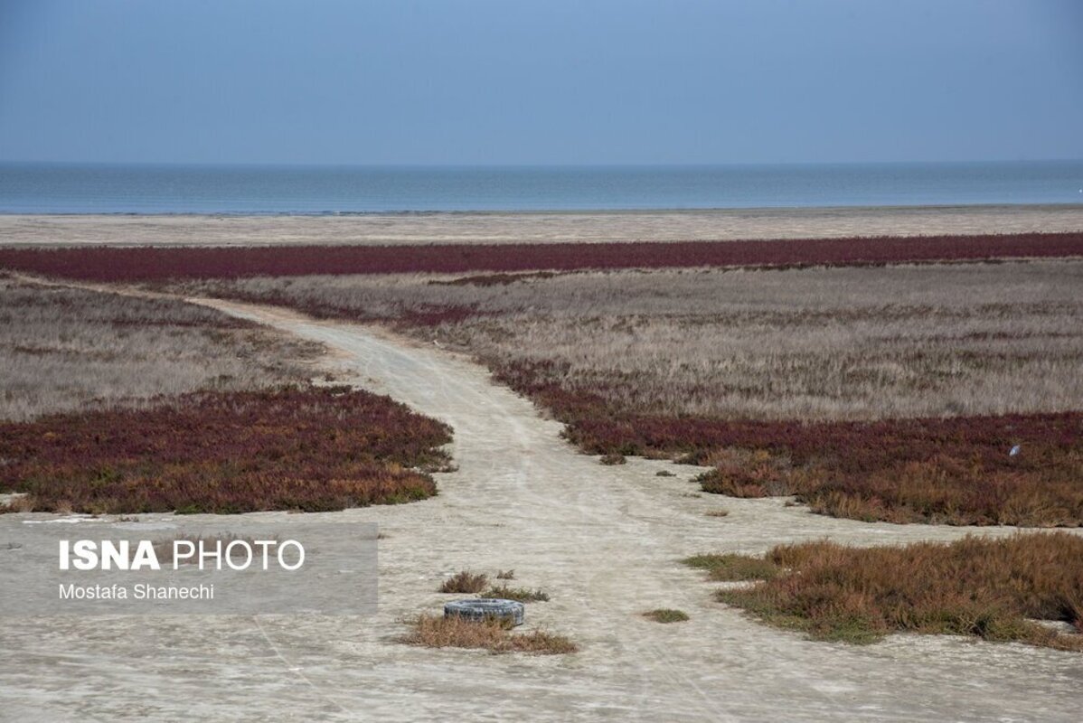 دریای خزر آخرین نفس‌هایش را می‌کشد