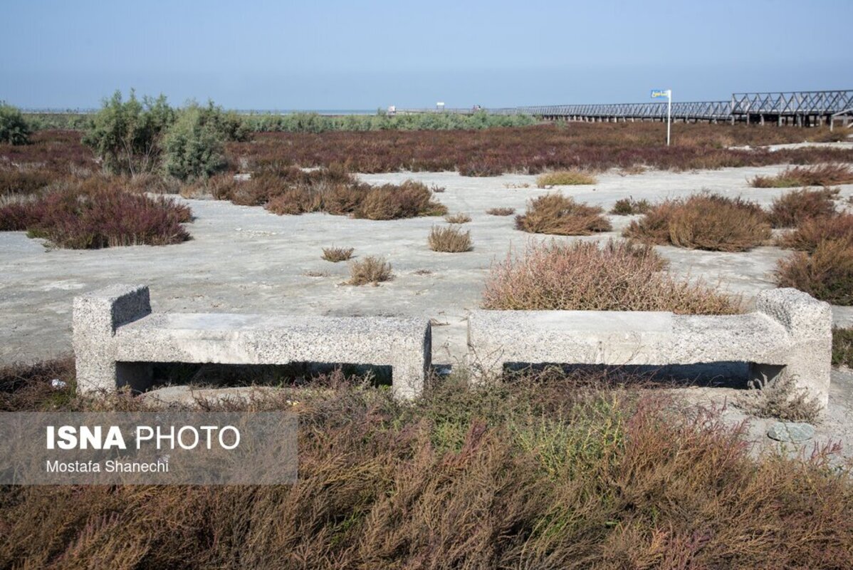 دریای خزر آخرین نفس‌هایش را می‌کشد