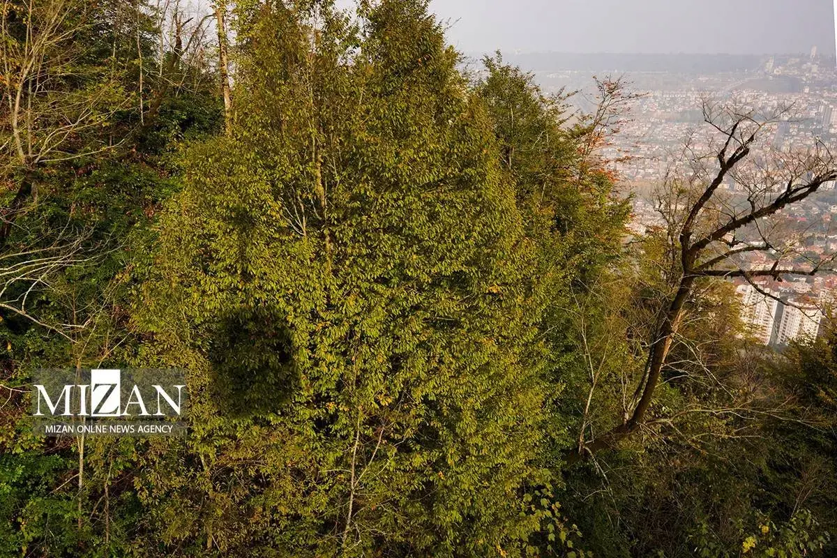 یک روز فراموش‌نشدنی و هیجان‌انگیز در نمک‌آبرود