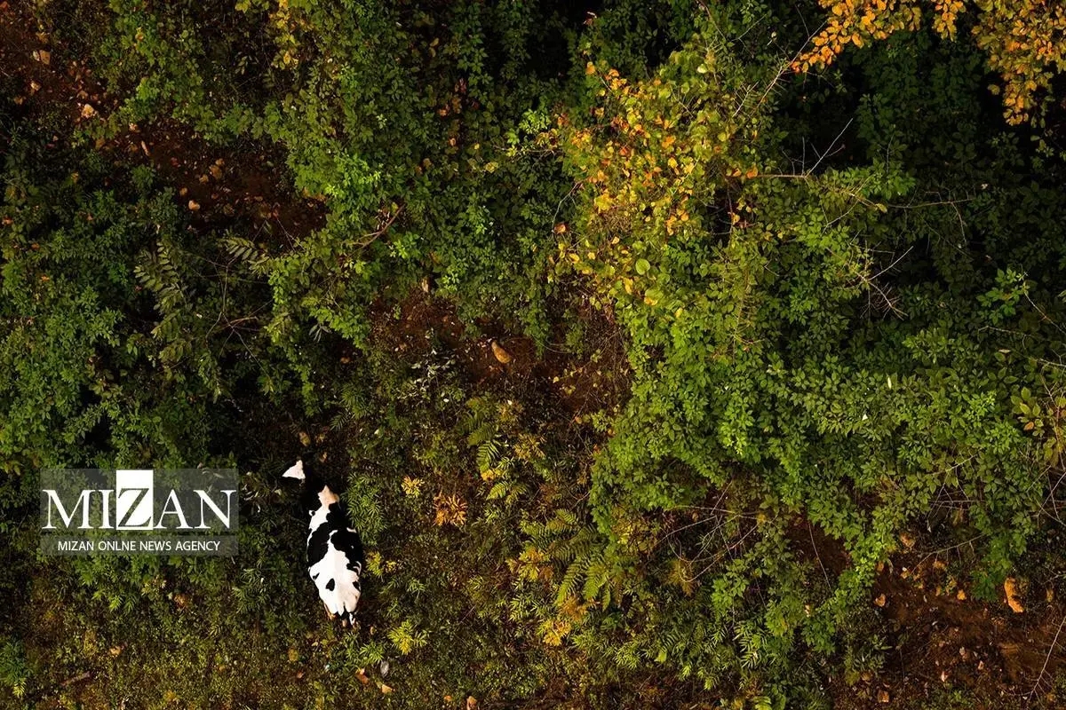 یک روز فراموش‌نشدنی و هیجان‌انگیز در نمک‌آبرود