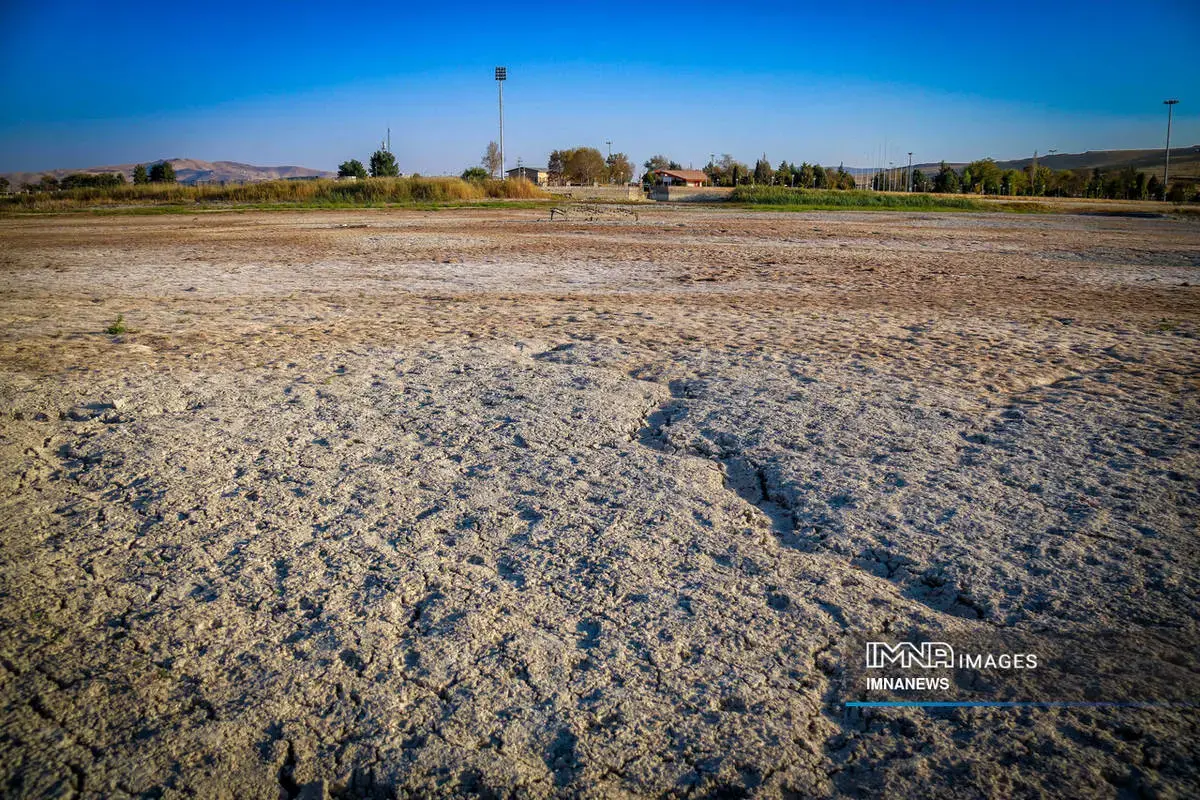 مرگِ نیلوفر کرمانشاه، زیبایی‌ای که خاموش شد 