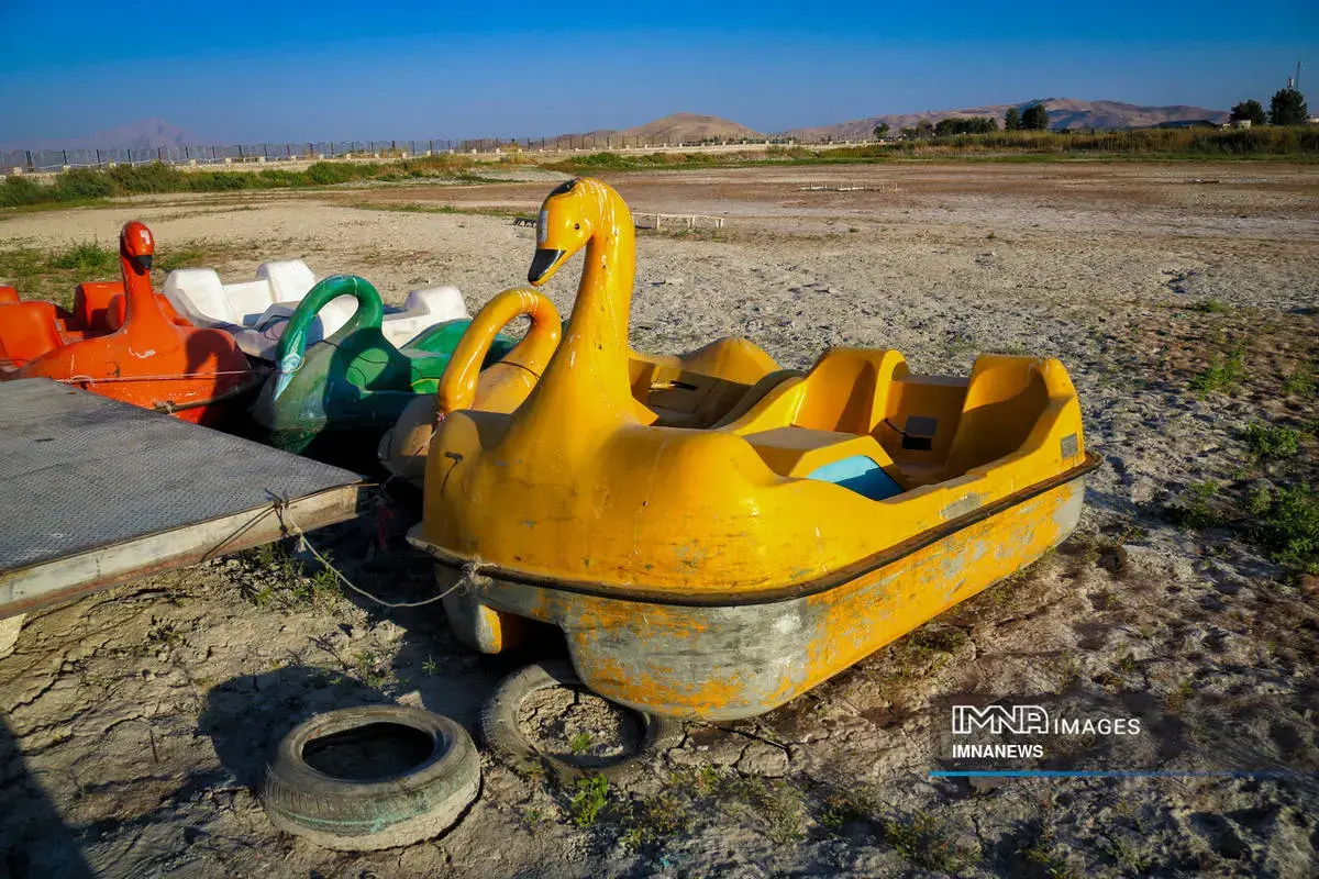  مرگِ نیلوفر کرمانشاه، زیبایی‌ای که خاموش شد 
