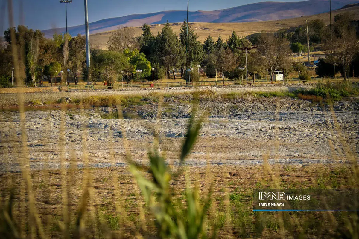  مرگِ نیلوفر کرمانشاه، زیبایی‌ای که خاموش شد 