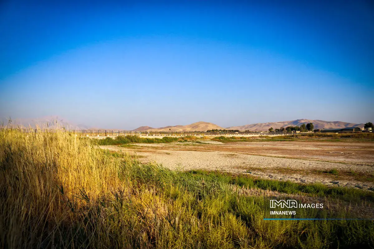  مرگِ نیلوفر کرمانشاه، زیبایی‌ای که خاموش شد 