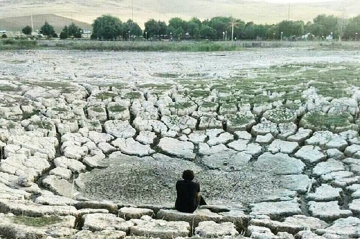  مرگِ نیلوفر کرمانشاه، زیبایی‌ای که خاموش شد 