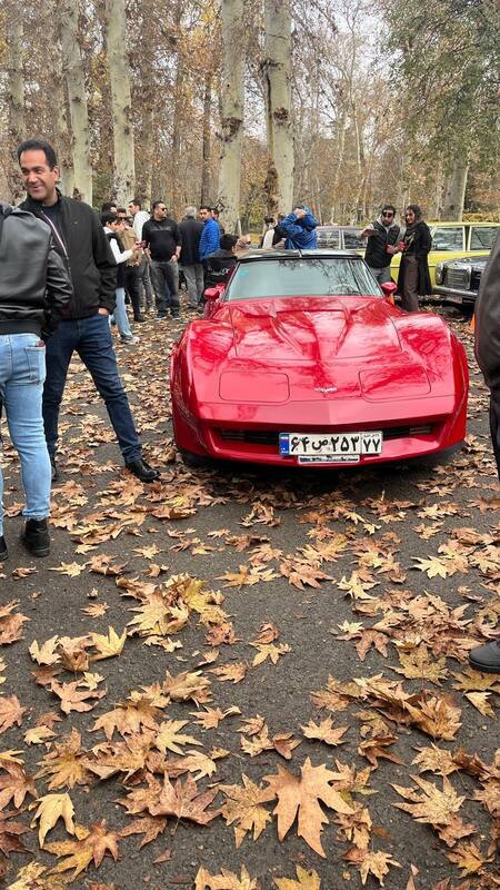 گردهمایی خودروهای کلاسیک در کاخ نیاوران