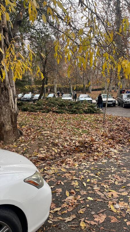 گردهمایی خودروهای کلاسیک در کاخ نیاوران