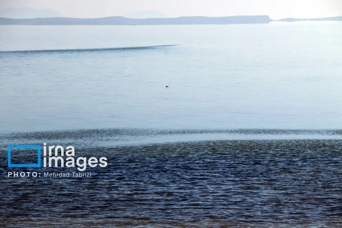 موج بارندگی‌ها به کمک دریاچه ارومیه آمد