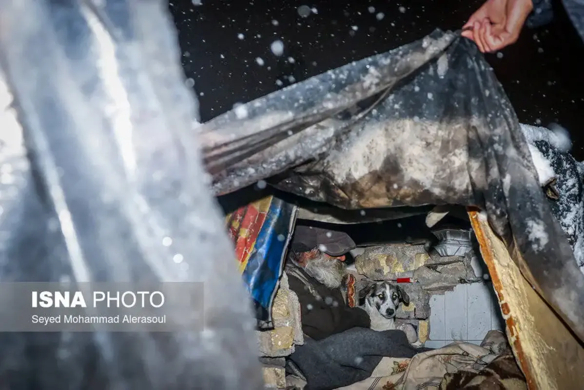 اسکان کارتن‌خواب‌ها در گرمخانه