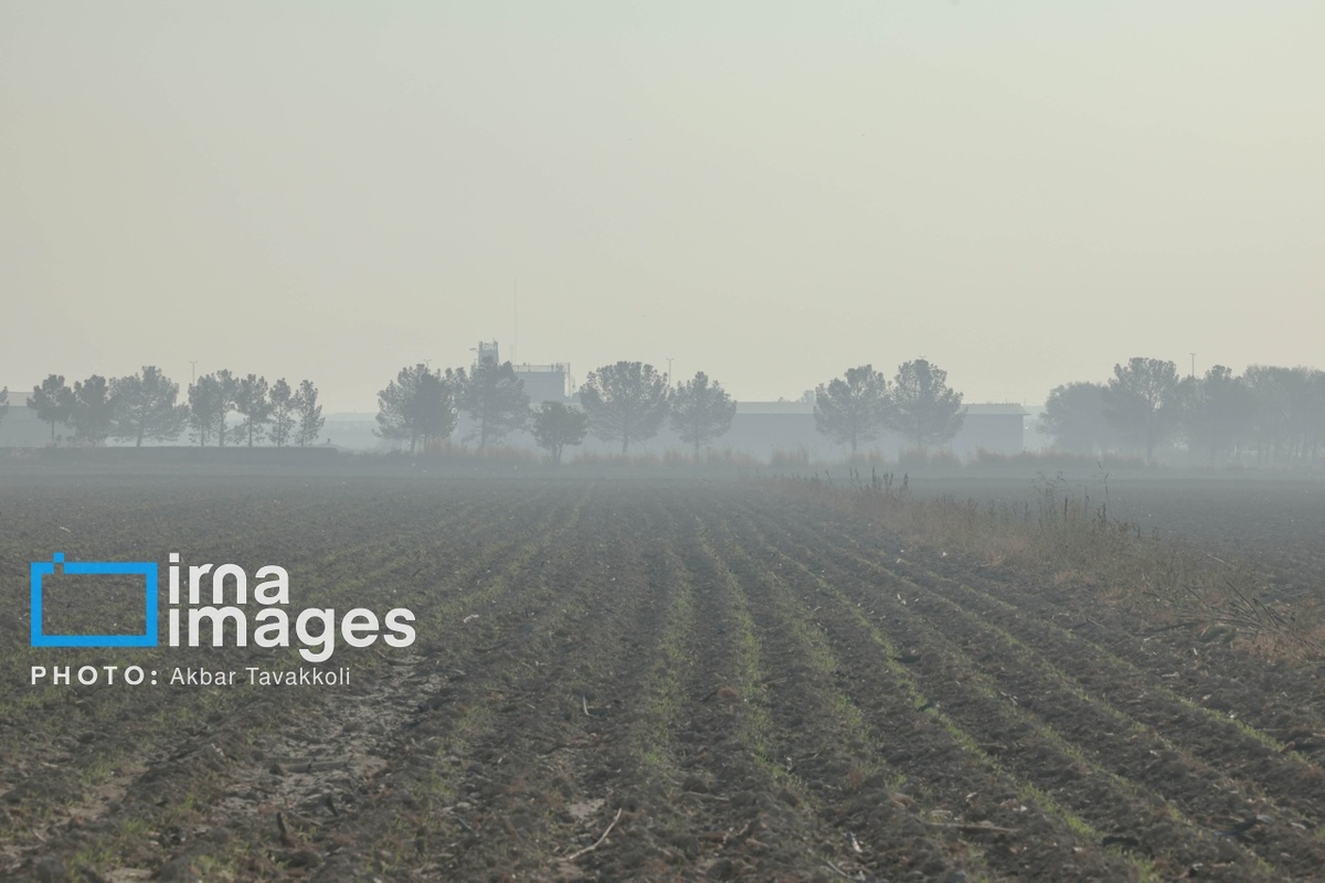 تهران زیر ابری از دود و ذرات خطرناک