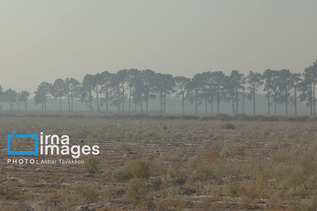 تهران زیر ابری از دود و ذرات خطرناک