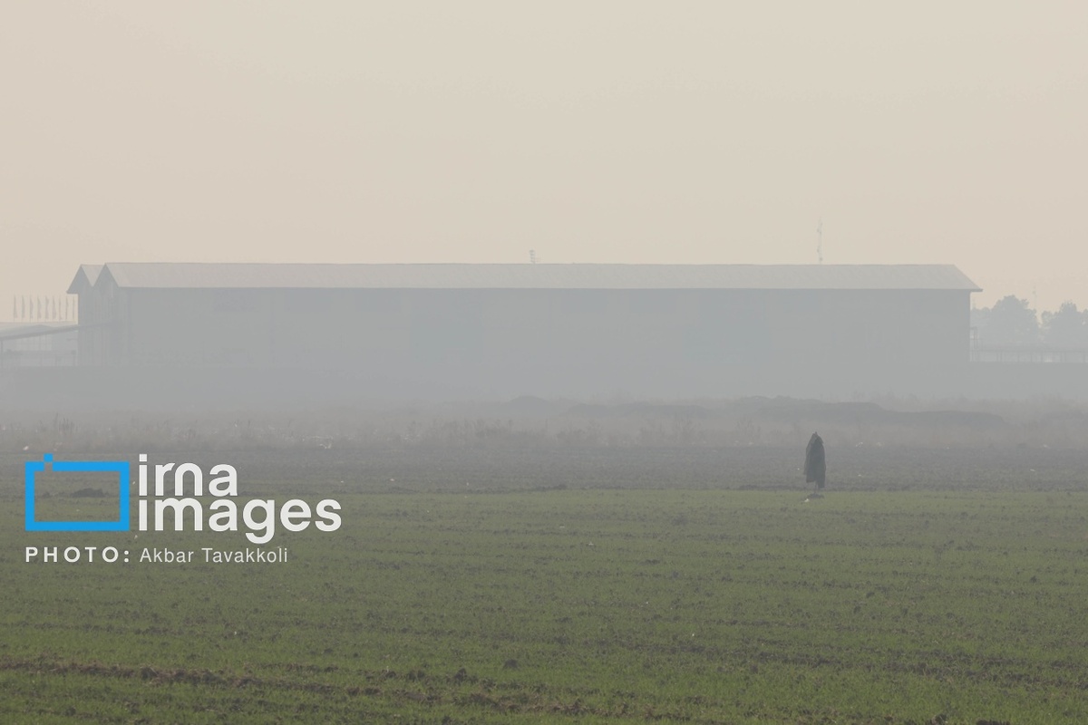 تهران زیر ابری از دود و ذرات خطرناک