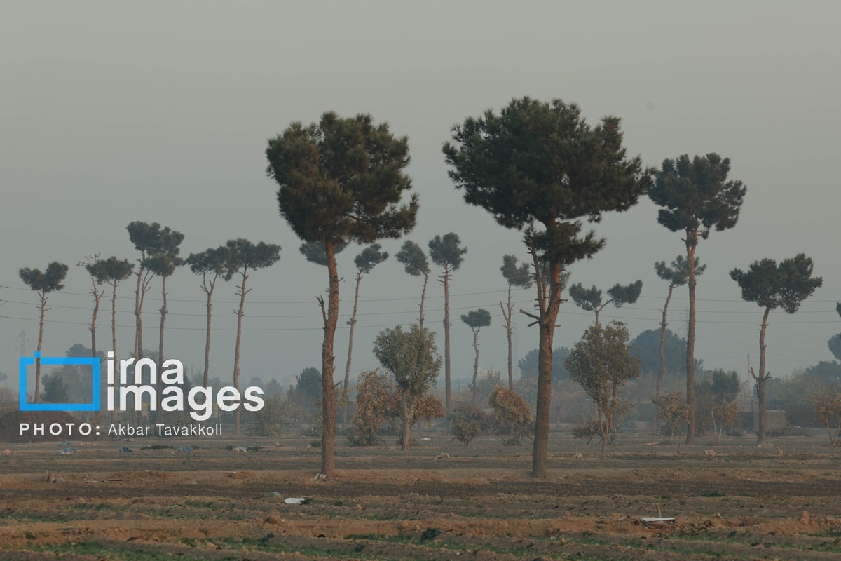 تهران زیر ابری از دود و ذرات خطرناک