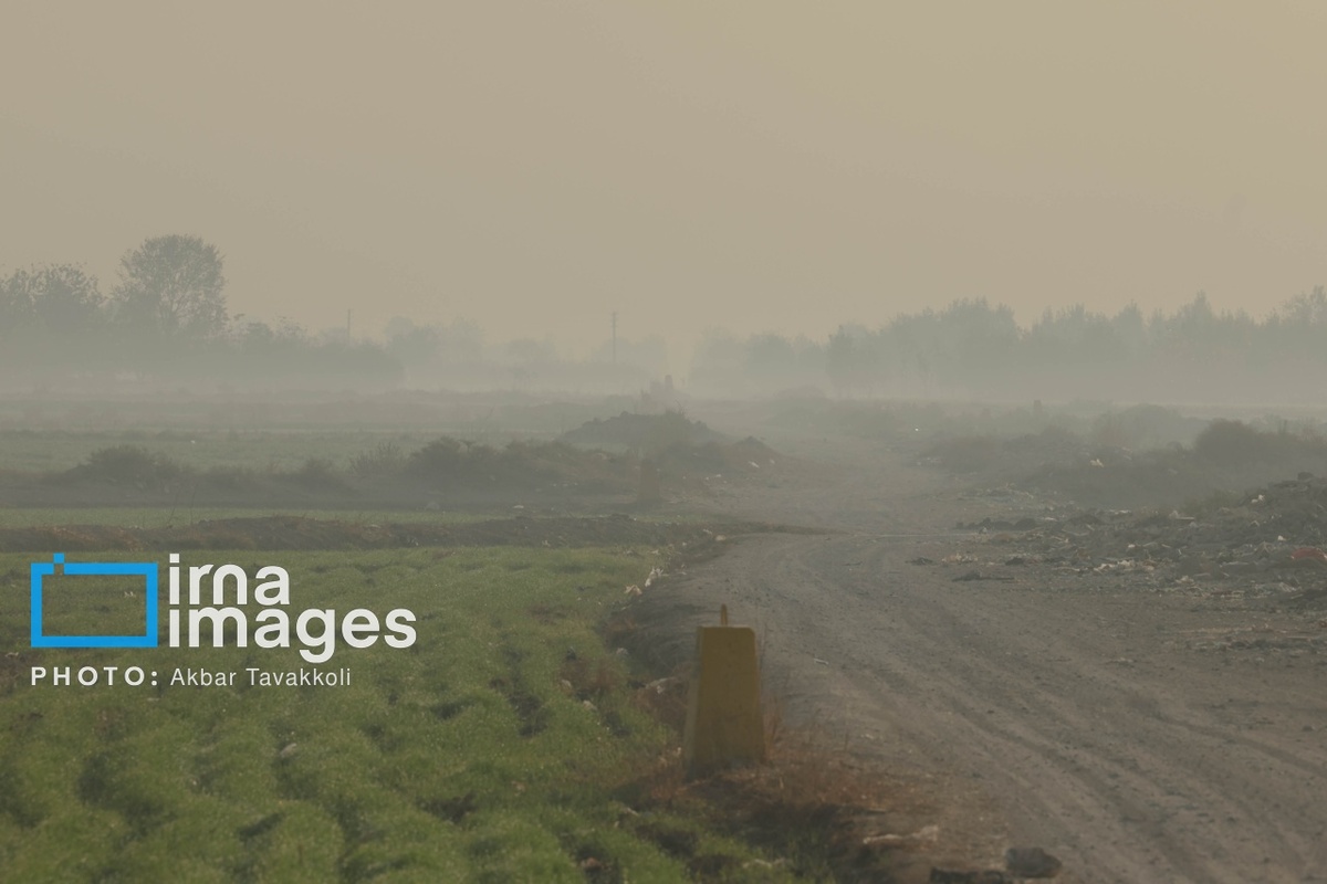 تهران زیر ابری از دود و ذرات خطرناک