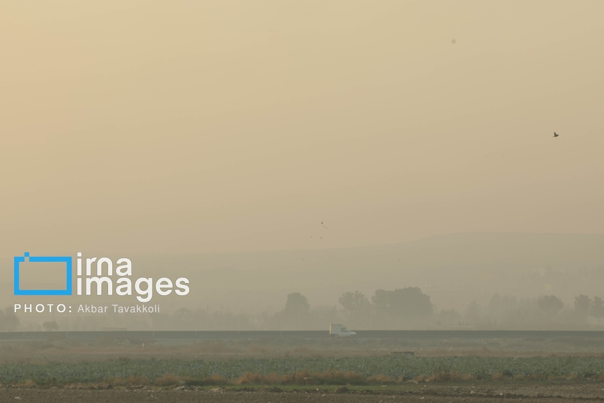 تهران زیر ابری از دود و ذرات خطرناک