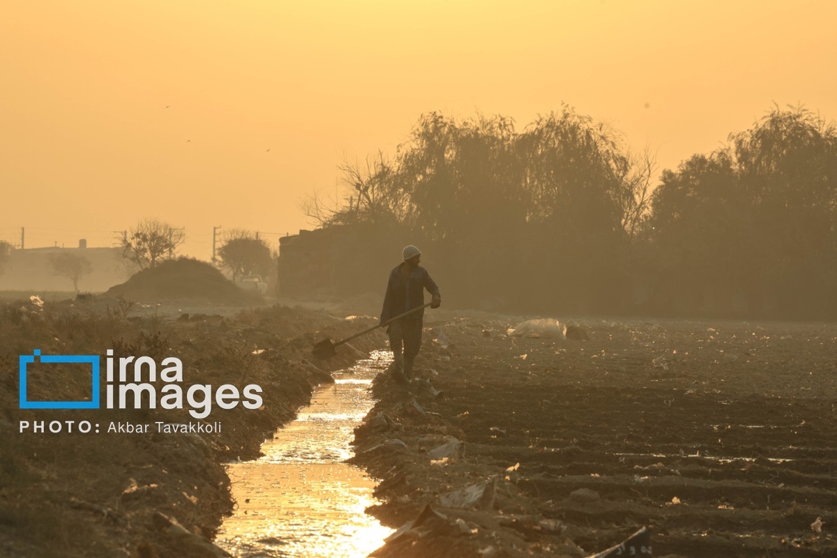 تهران زیر ابری از دود و ذرات خطرناک