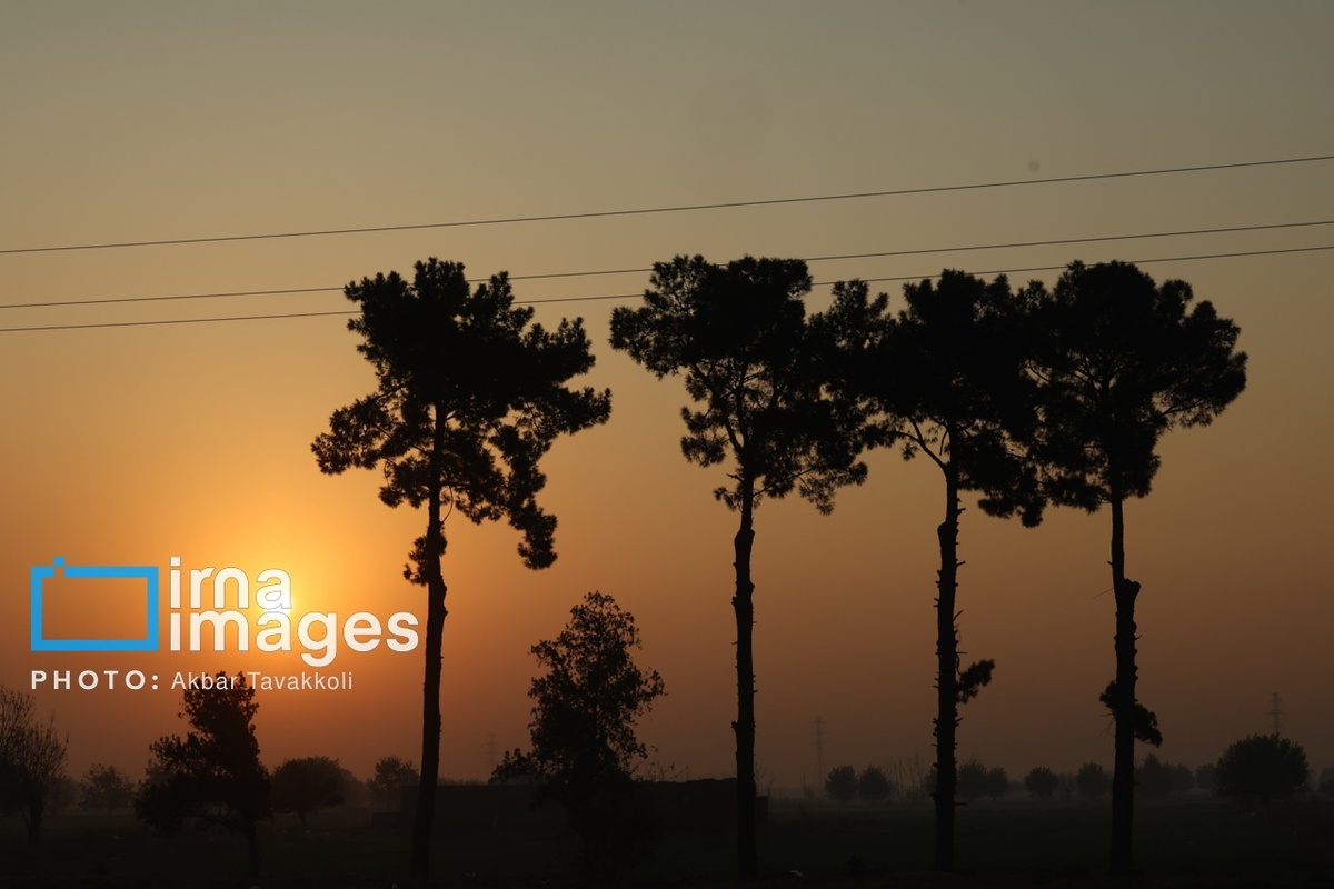 تهران زیر ابری از دود و ذرات خطرناک