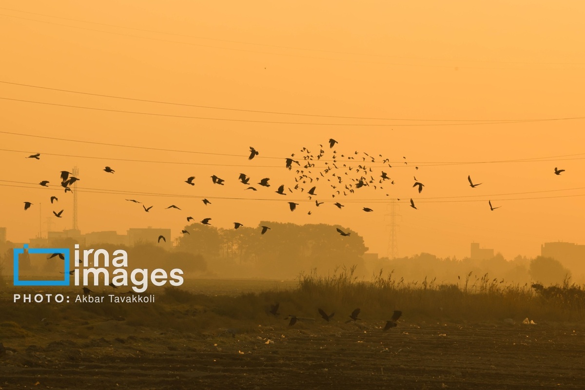 تهران زیر ابری از دود و ذرات خطرناک