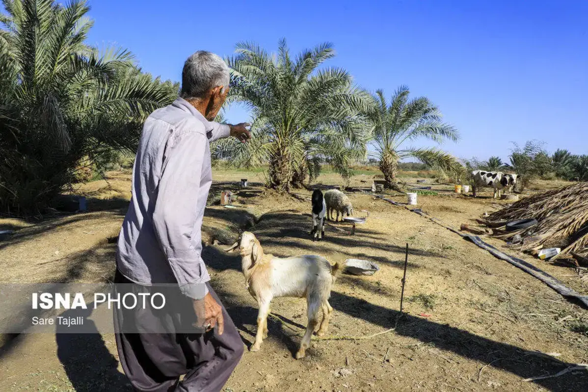 آخرین وضعیت مناطق سیل زده جنوب کرمان