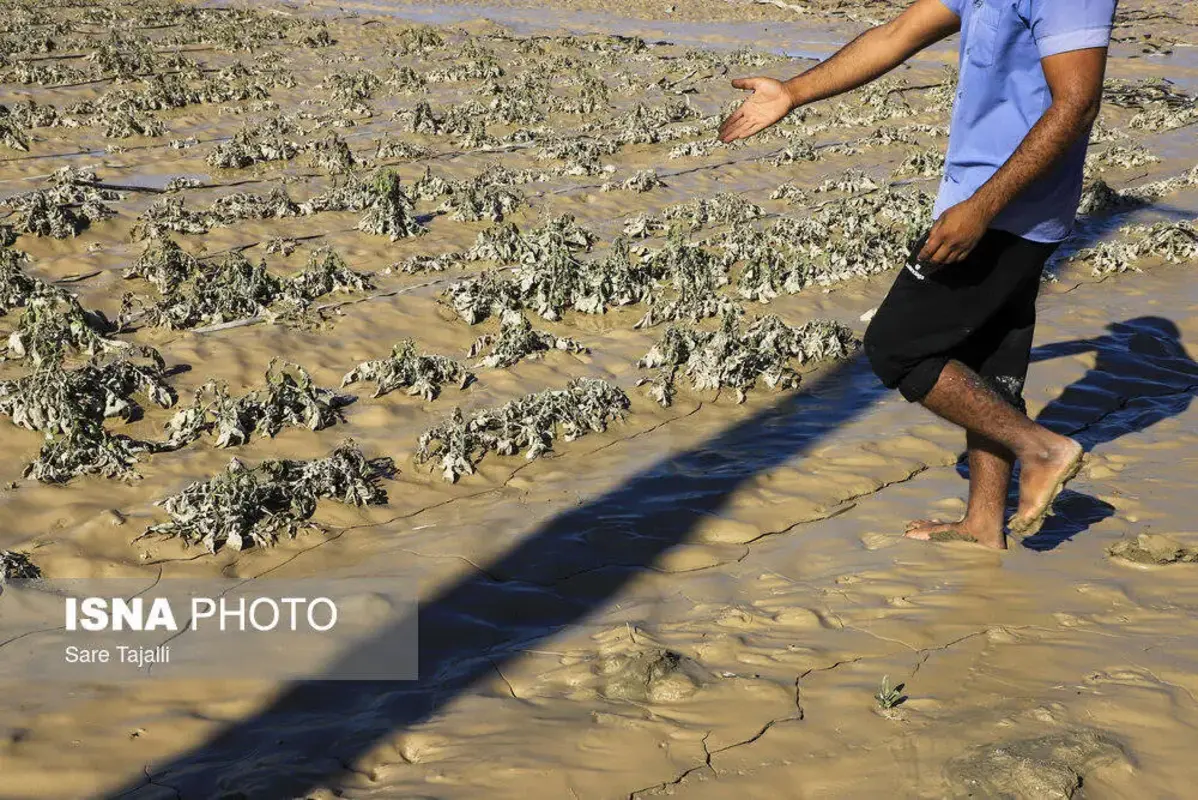 آخرین وضعیت مناطق سیل زده جنوب کرمان