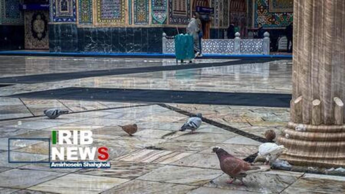 لحظه زیبای بارش برف در حرم امام رضا (ع)