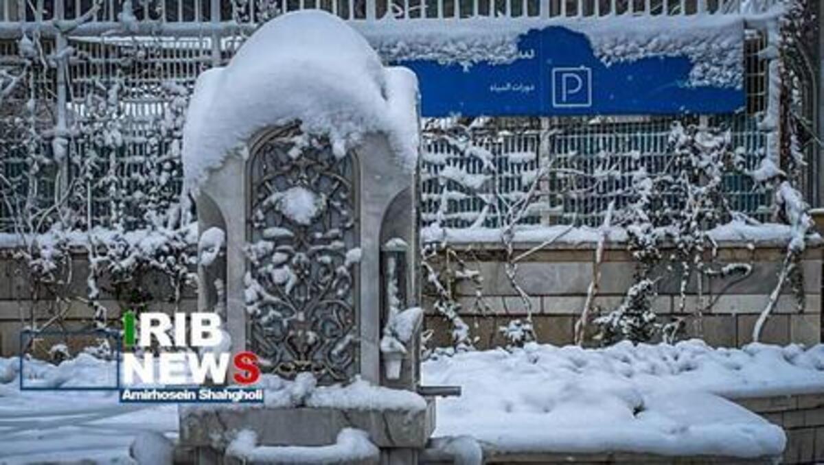 لحظه زیبای بارش برف در حرم امام رضا (ع)