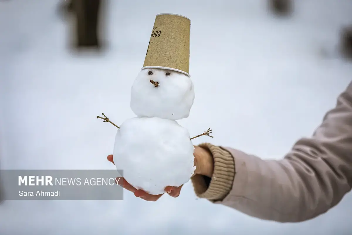 عکس/ چند قاب خاص از ژست زمستانی ایران