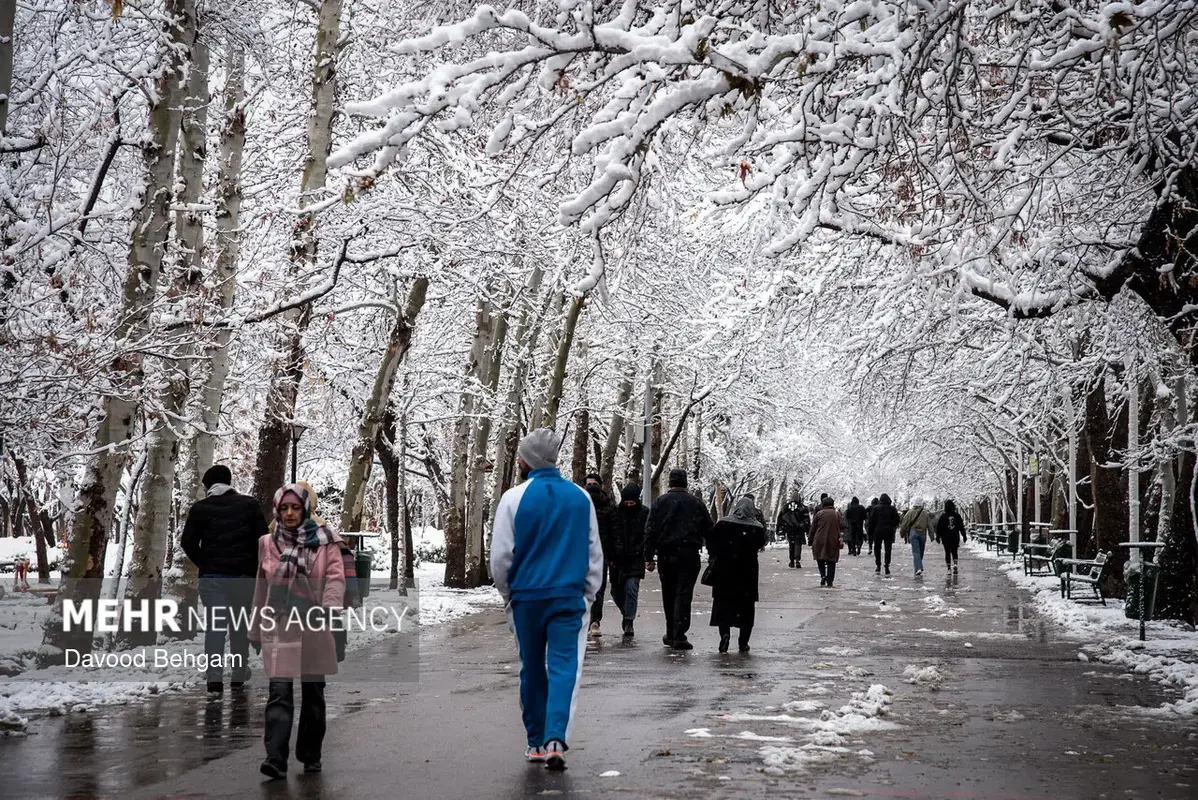 عکس/ چند قاب خاص از ژست زمستانی ایران