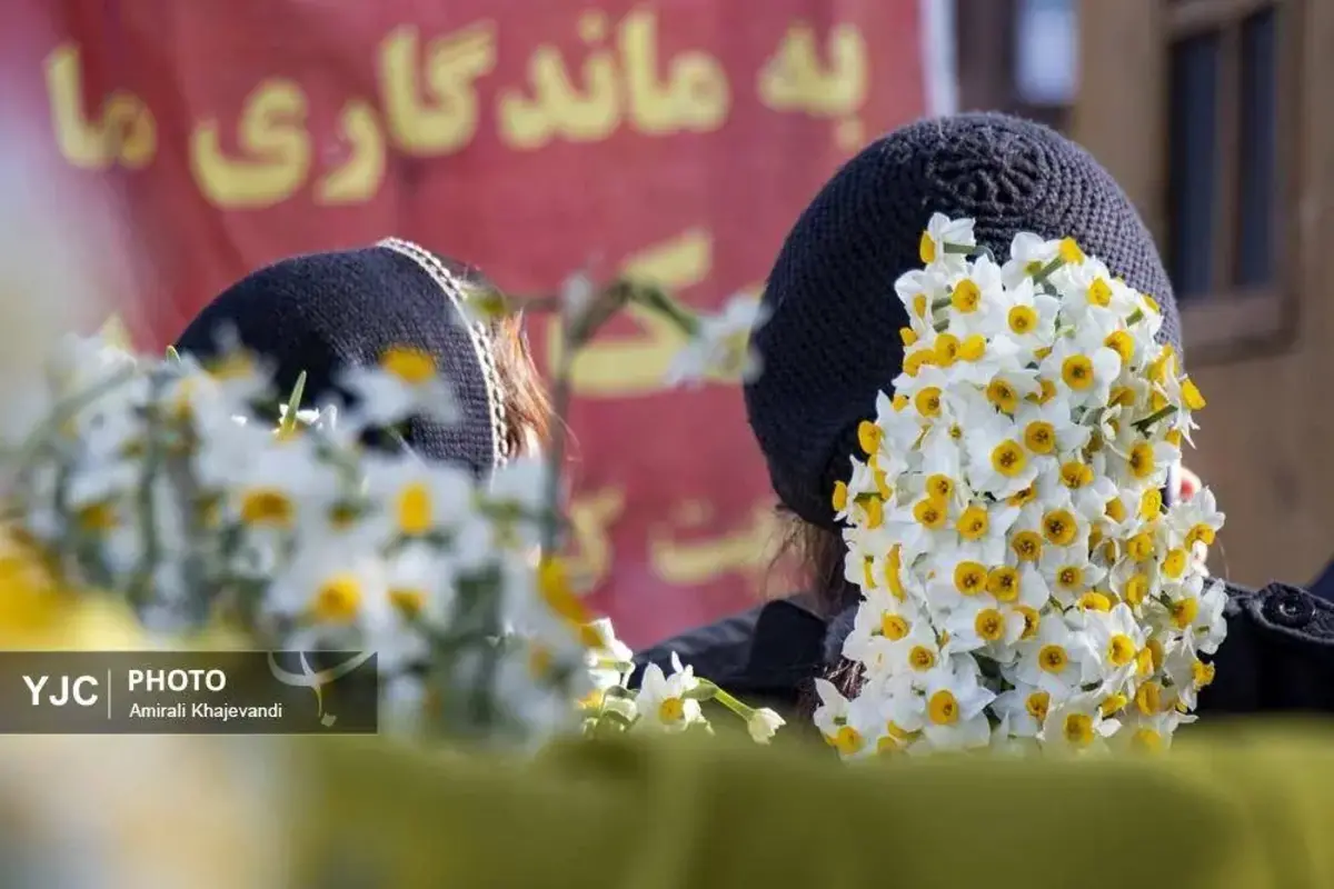 عرضه شاخه‌های خوش‌عطر گل نرگس در مازندران