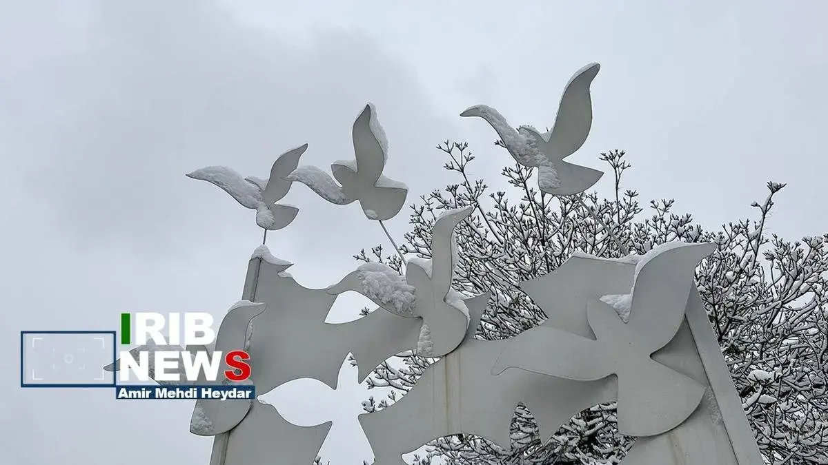  بارش برف زمستانی در تهران