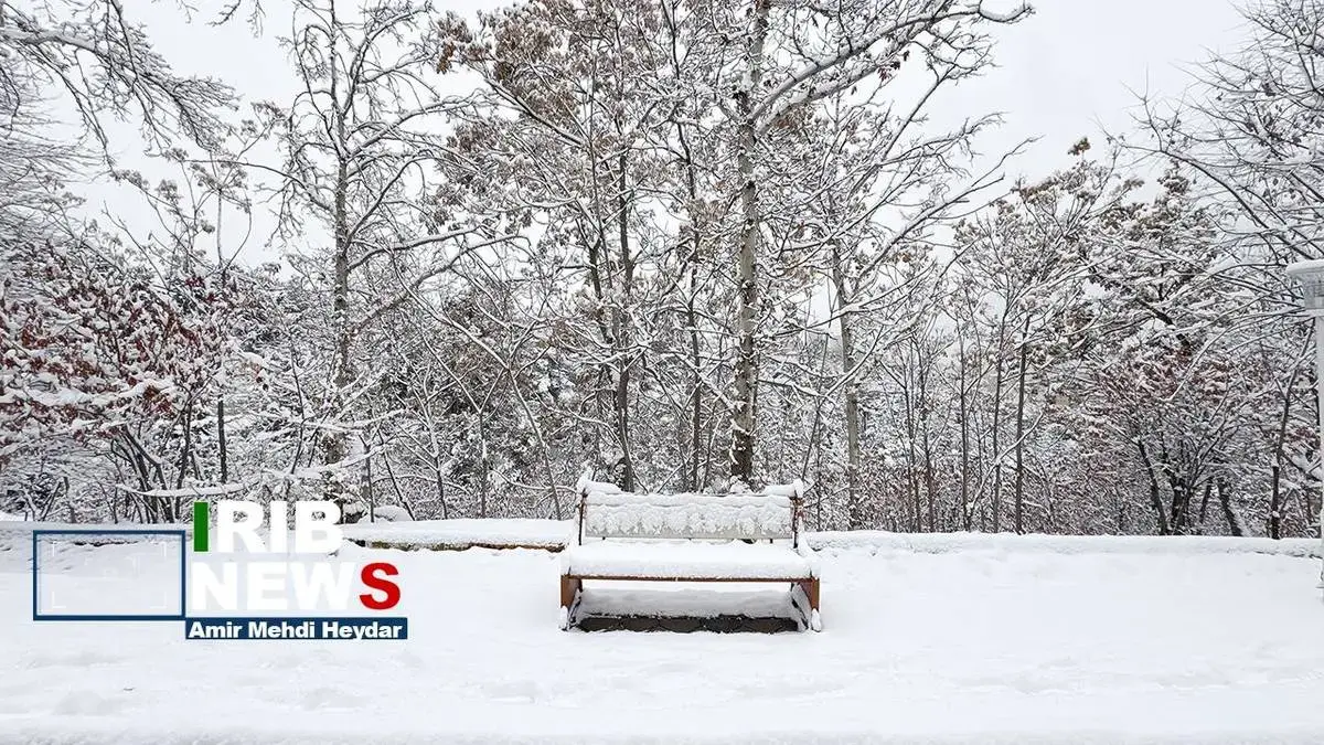  بارش برف زمستانی در تهران