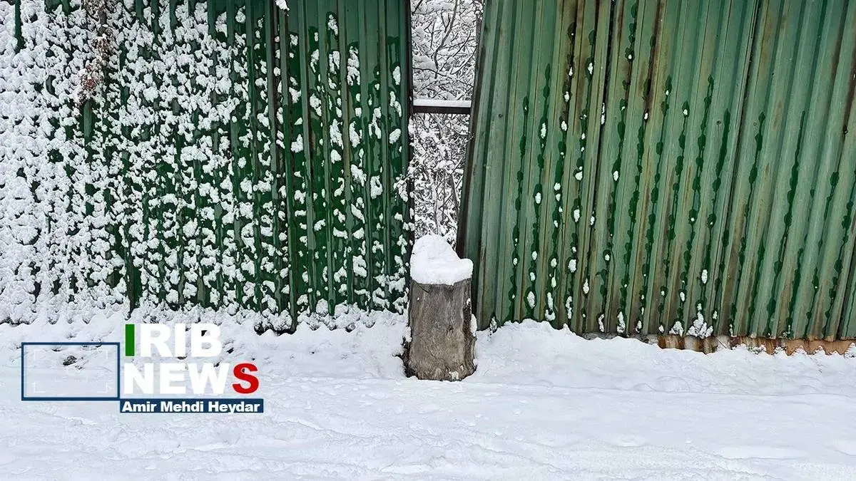  بارش برف زمستانی در تهران
