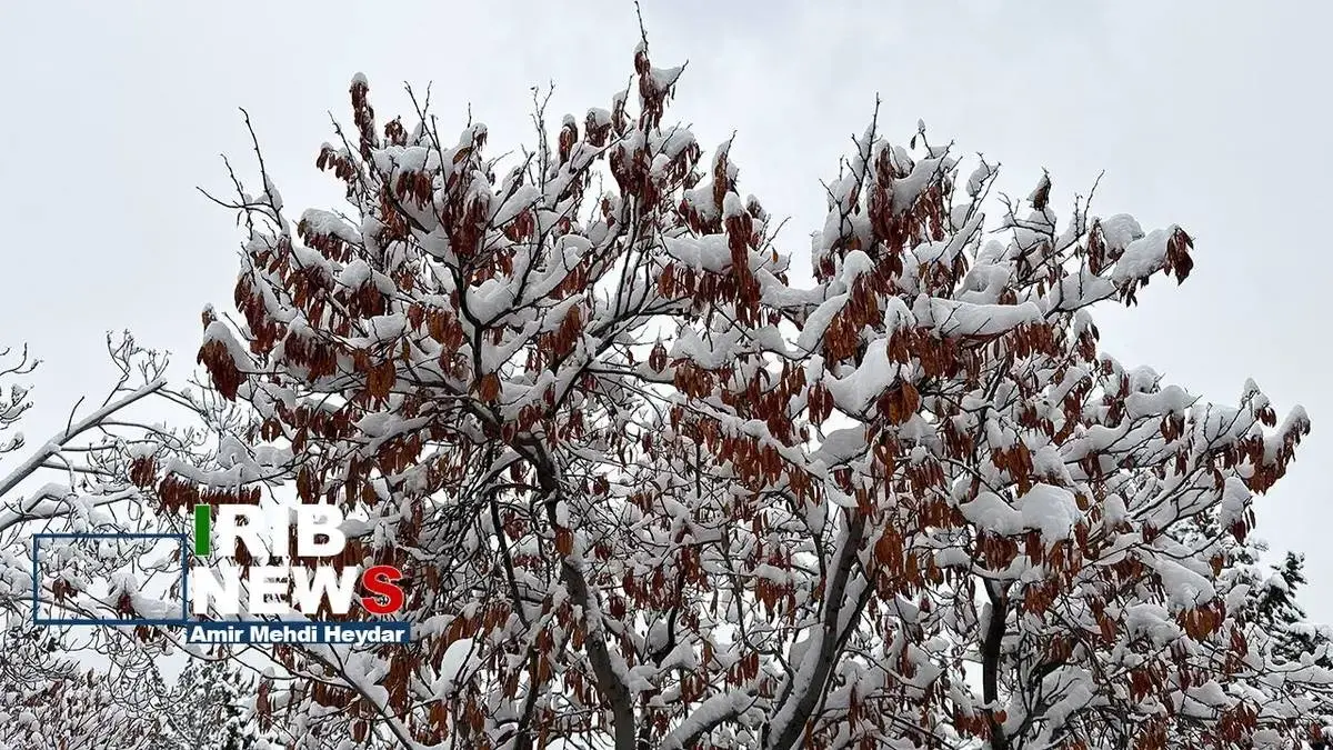  بارش برف زمستانی در تهران