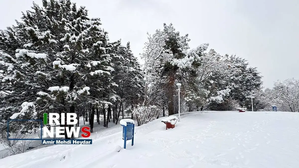  بارش برف زمستانی در تهران