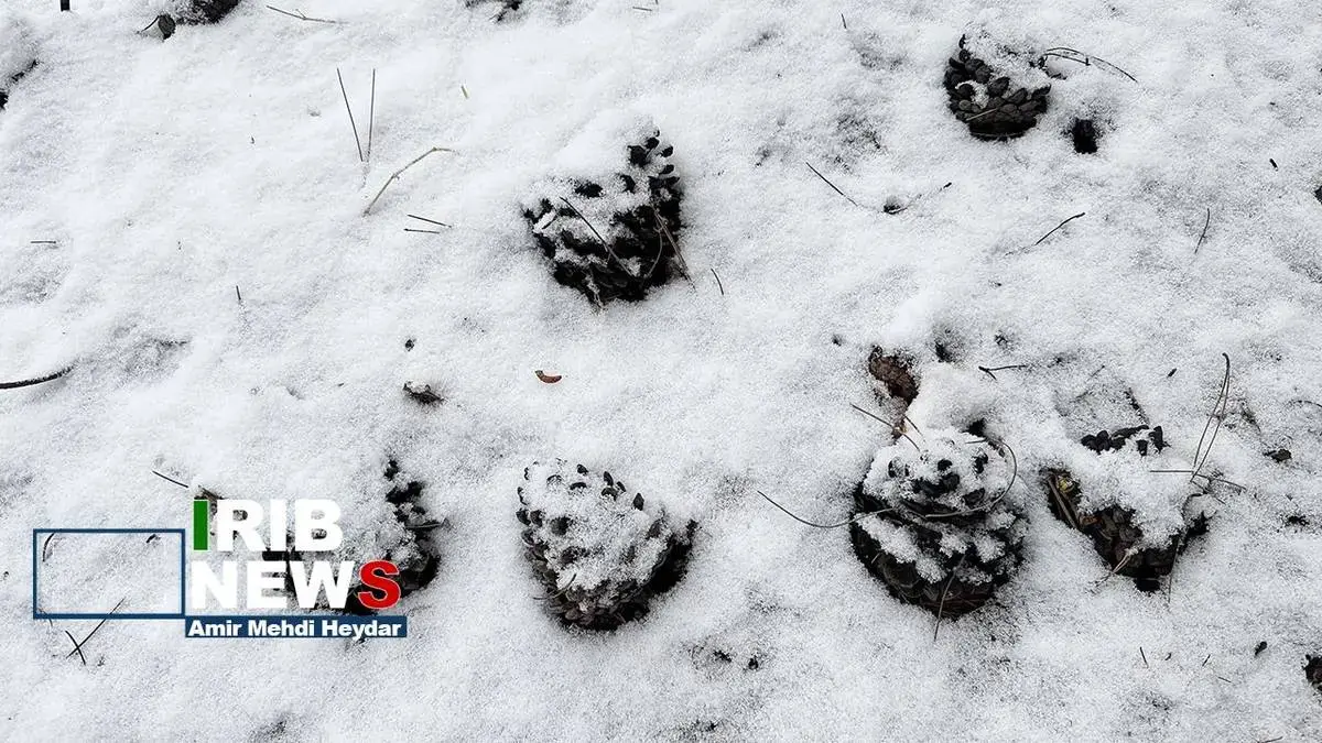  بارش برف زمستانی در تهران