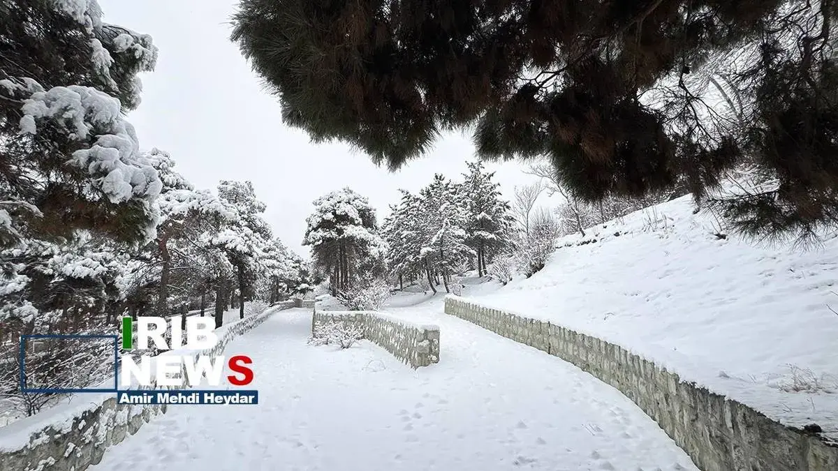  بارش برف زمستانی در تهران