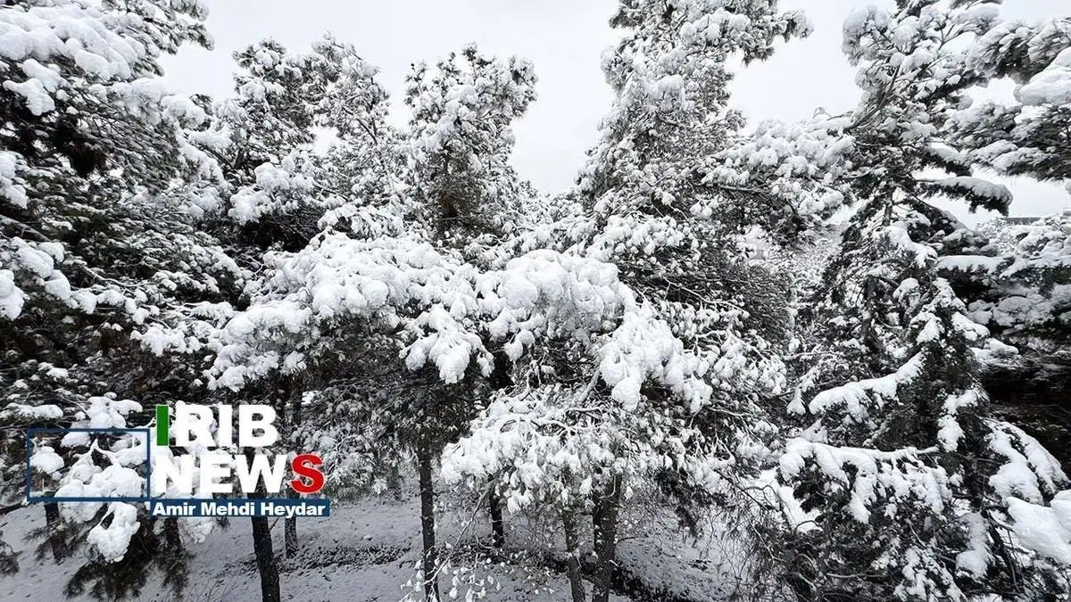  بارش برف زمستانی در تهران