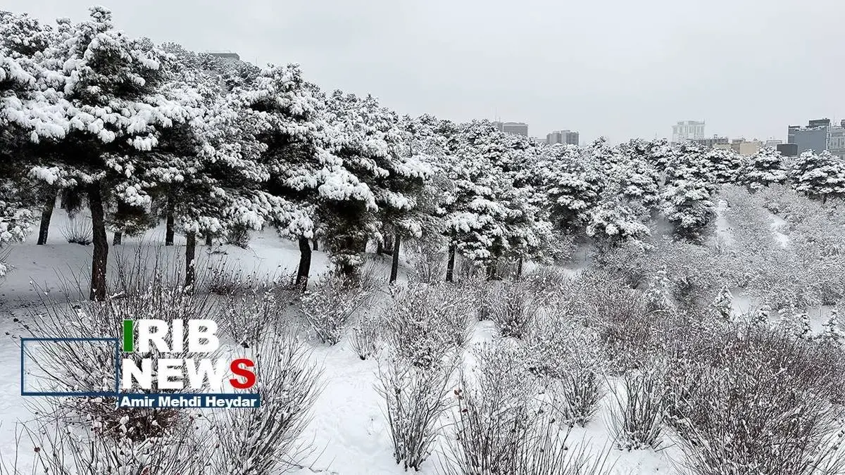  بارش برف زمستانی در تهران
