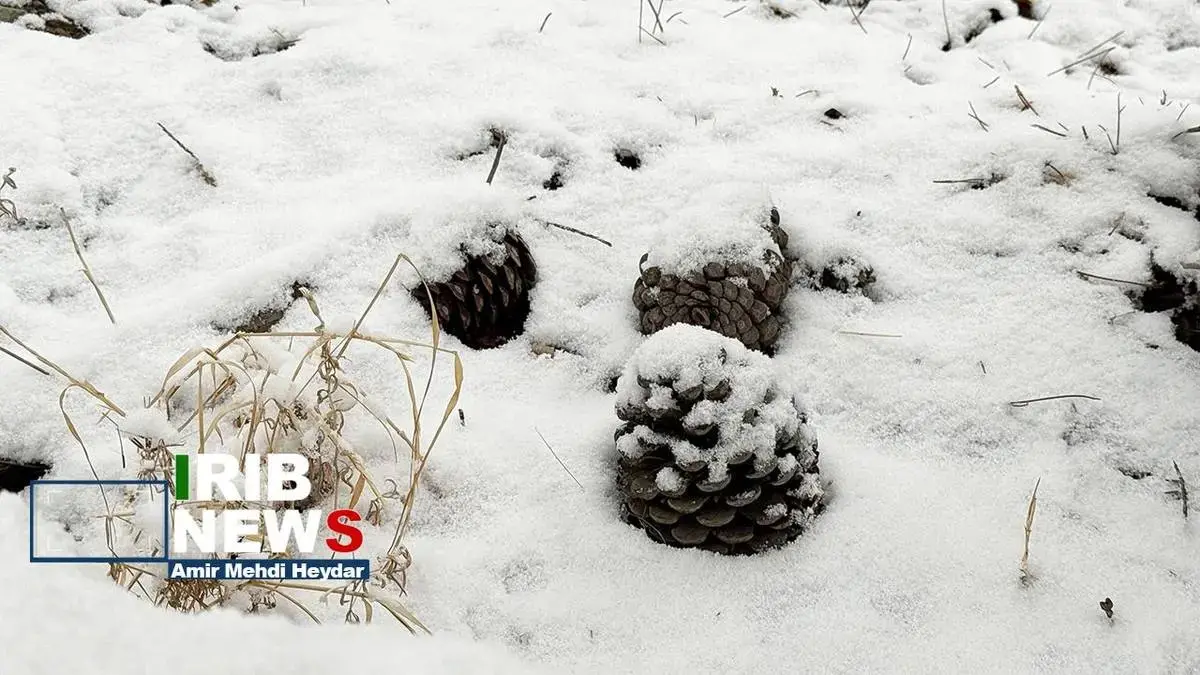  بارش برف زمستانی در تهران
