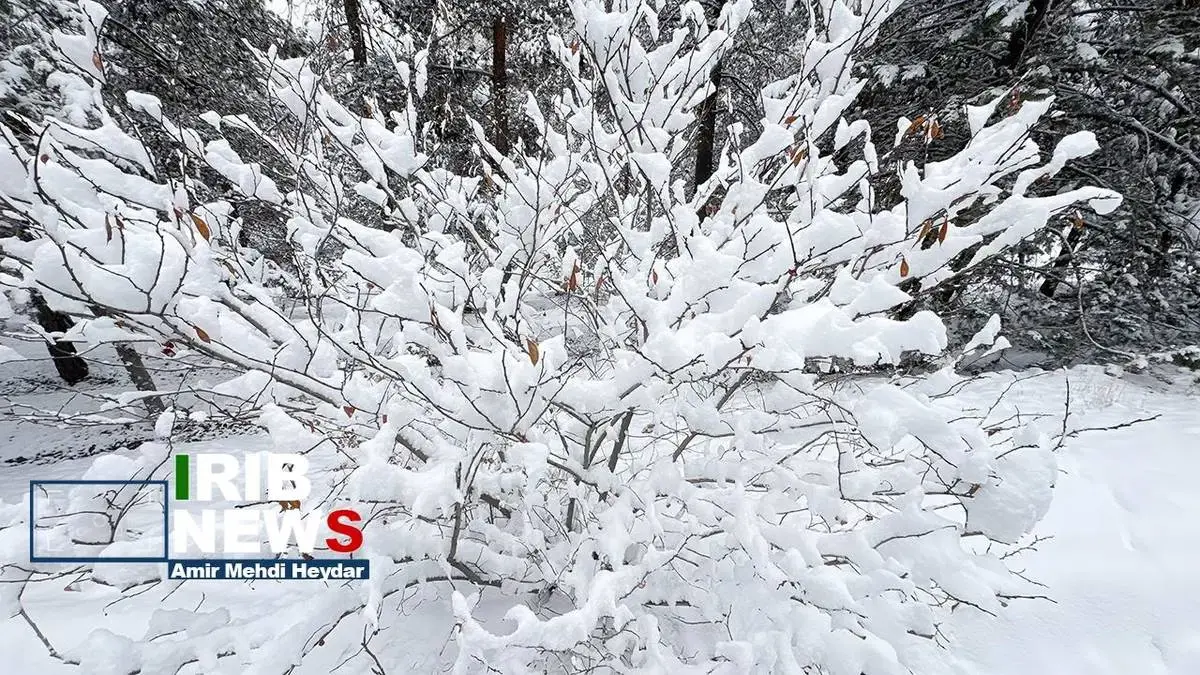  بارش برف زمستانی در تهران