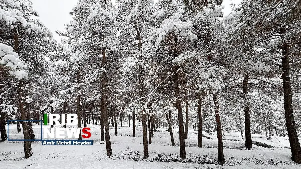  بارش برف زمستانی در تهران
