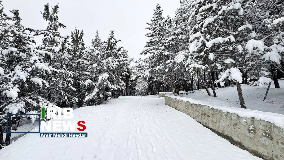  بارش برف زمستانی در تهران