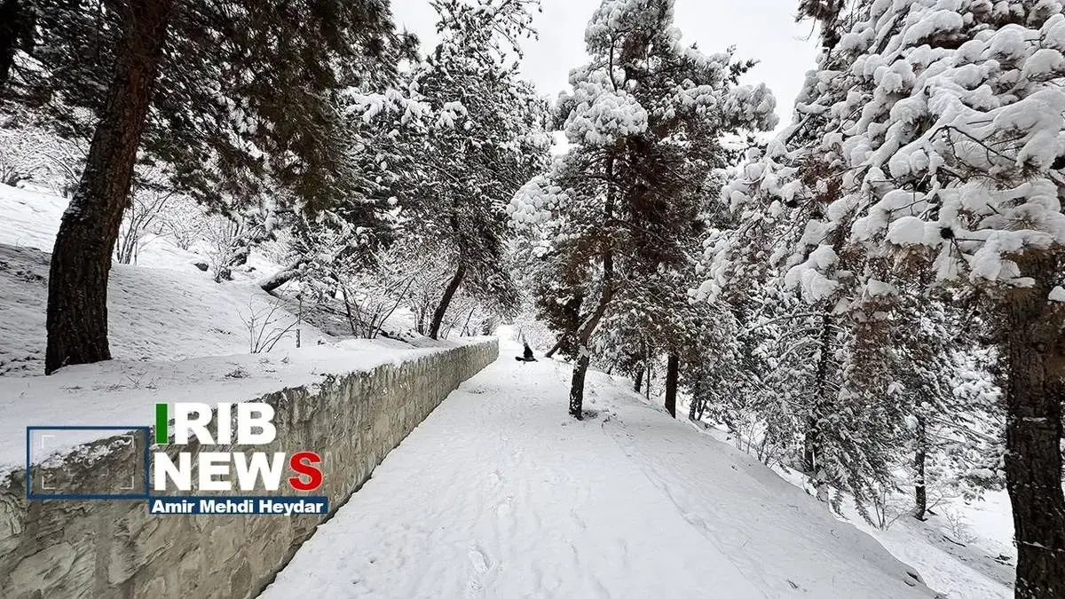  بارش برف زمستانی در تهران