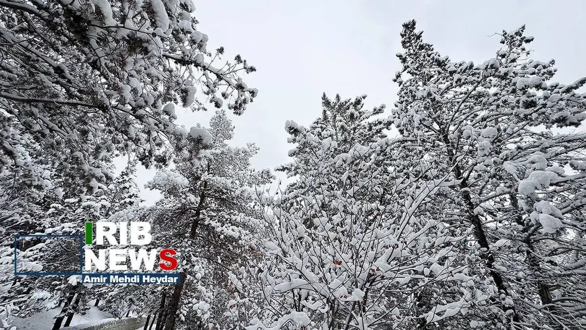  بارش برف زمستانی در تهران