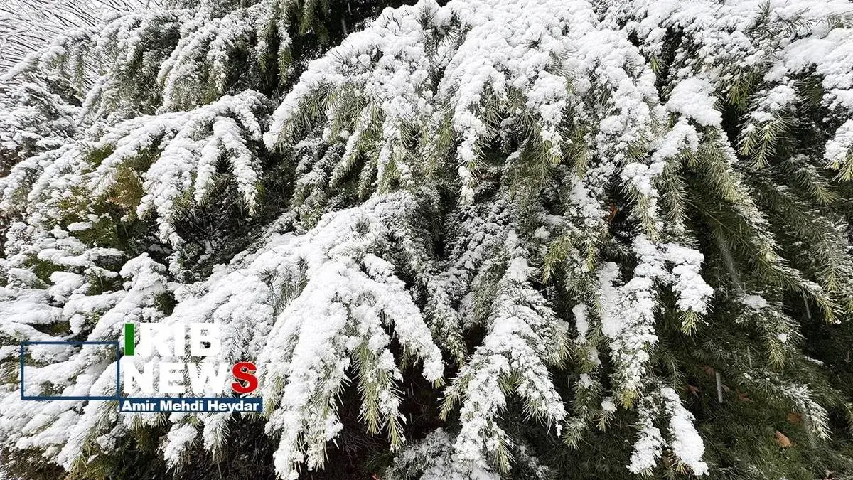  بارش برف زمستانی در تهران